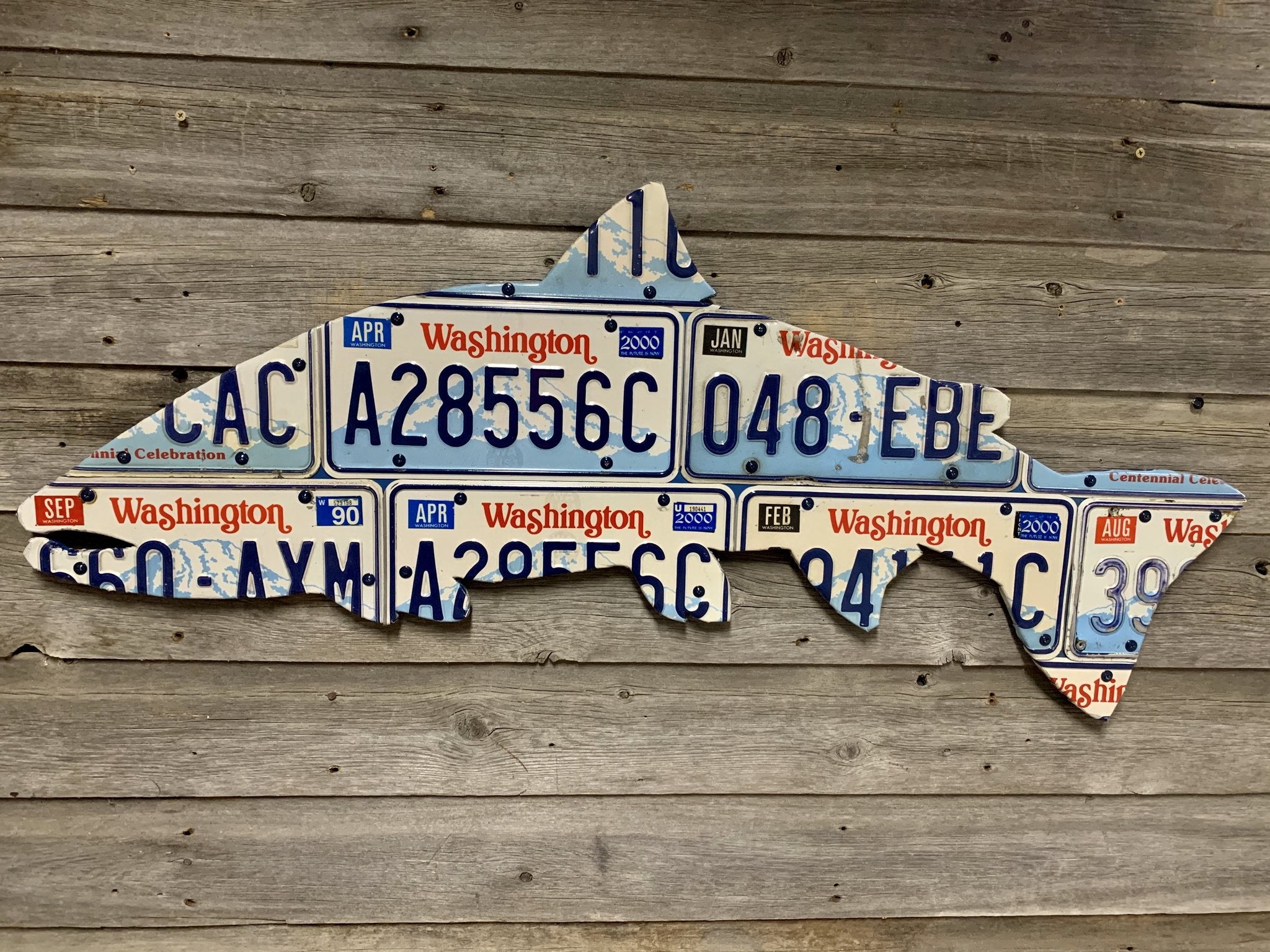 Cody's Fish, Cody's Fish License Plate Creations - Steelhead