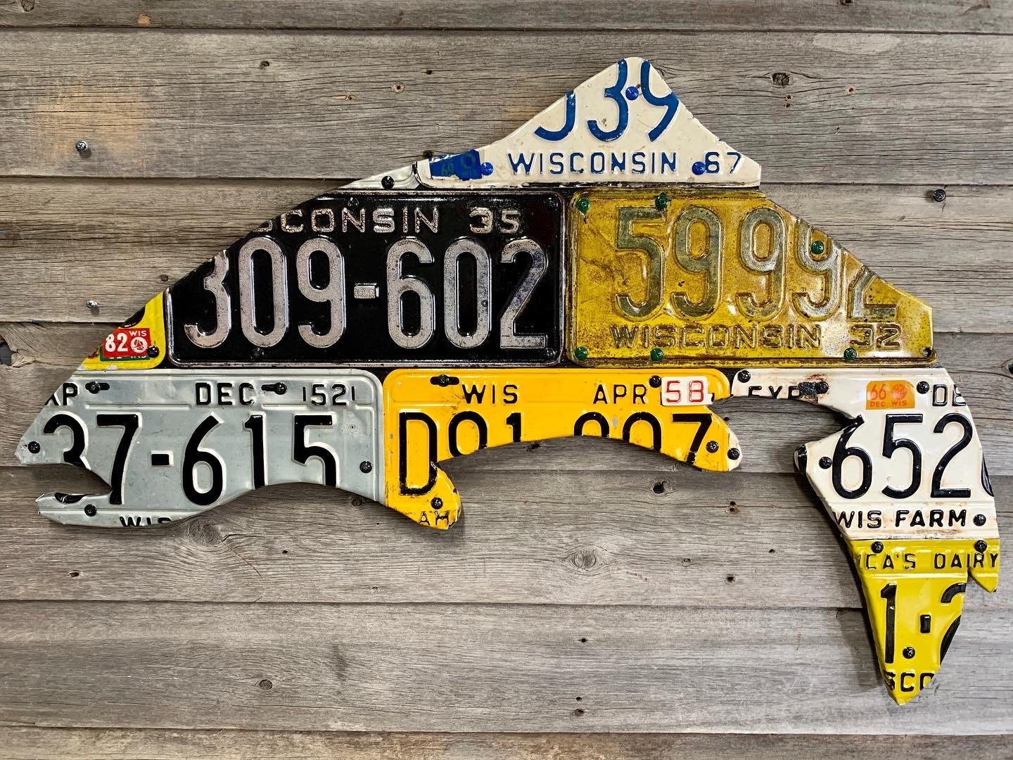 Cody's Fish, Cody's Fish License Plate Creations - Trout