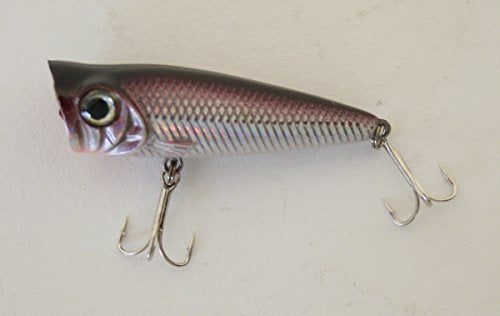 Bishop Distributing Inc., Pond Fav. Popper Silver/Black