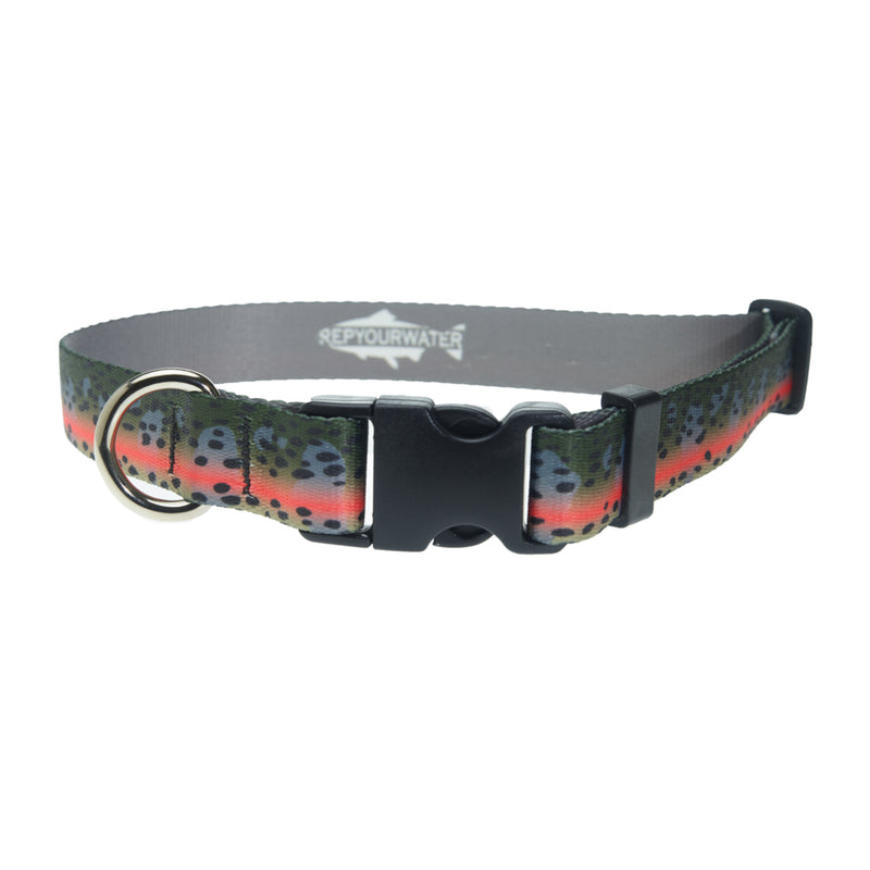 Rep Your Water, Rep Your Water Rainbow Trout Dog Collar