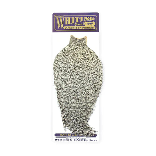 Whiting, Whiting American Rooster Cape- Grizzly/Red